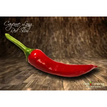 Semeno chilli-semena Cayenne Long Red Slim