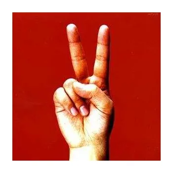 Zahraniční hudba 2LP Bloodthirsty Butchers: Birdy 2023