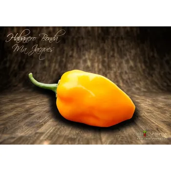 Semeno chilli-semena Habanero Bonda Ma Jacques