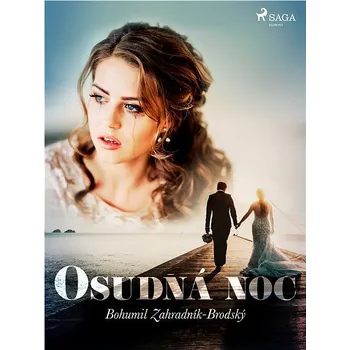 Kniha Osudná noc Ekniha