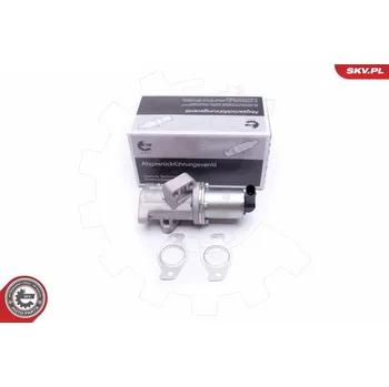 Ventil palivového systému AGR-Ventil ESEN SKV 14SKV212