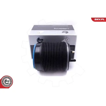 Vzduchová pružina, podvozek ESEN SKV 58SKV073