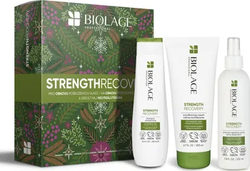 Kosmetická sada Matrix Biolage Strength Recovery vánoční balíček 2023