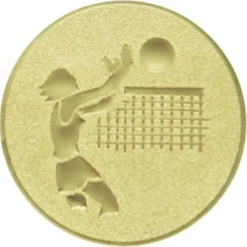 Kovový emblém - VOLEJBAL ženy (006)