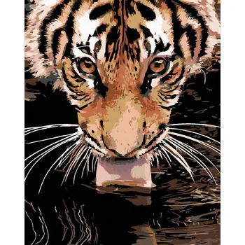 Diamondi Diamantové malování - TYGR U VODY Rozměr: 40x50 cm, Rámování: bez rámu a bez vypnutí plátna