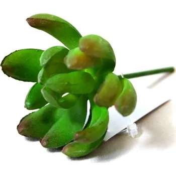 umělá květina Sukulent tlustice zápich 5 cm - zeleno - vínový