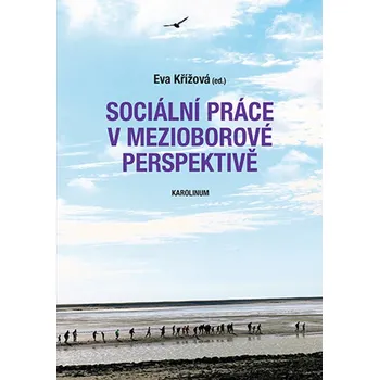 Kniha Sociální práce v mezioborové perspektivě