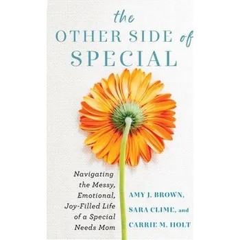 Cizojazyčná kniha Other Side of Special '- Navigating the Messy, Emotional, Joy'-Filled Life of a Special Needs Mom - Brown, Amy J a Clime, Sara a Holt, Carrie M
