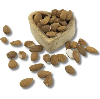 FITBOY Mandle natural BIO 500 g 500g