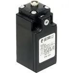 Pizzato Elettrica FR 501-M2 FR 501-M2 koncový spínač 250 V/AC 6 A zdvihátko bez aretace IP67 1 ks