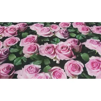 BYTEMA Dekorační látka Růže digitální tisk 3D šíře 160 cm