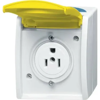 Elektrická zásuvka Busch-Jaeger vestavný Nema zásuvka cínově žlutá , žlutá 2CKA002124A0023 1 ks