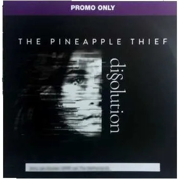 Zahraniční hudba CD The Pineapple Thief: Dissolution 2023