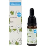 Navia / Kvítok Kvítok Pleťové sérum - MSM 10ml