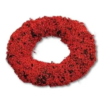 Věnec Věnec vánoční 20 cm