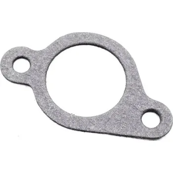 BRIGGS & STRATTON Těsnění sání B&S (272199S)