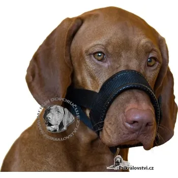 Náhubek pro psa Náhubek pro psa nylon podložený černý ohlávka Velikost: M-L