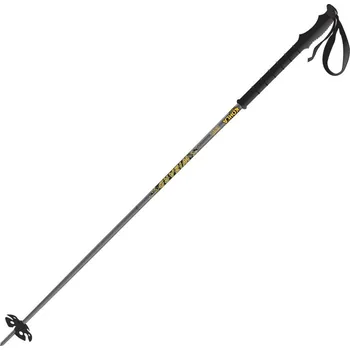 Horolezectví Hole Kohla Wizard Evo 21/22 Barva: šedá, Délka: 115 cm