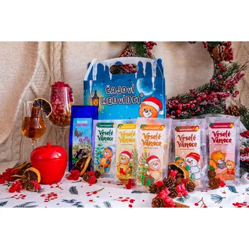 Čaj Lipoo Vánoční box čajových medvídků + Krtečkův horký nápoj 6x 50 g