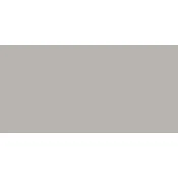 Obklad RAKO Concept Plus WAKVK010 obklad šedý 30x60 cm lesklý