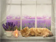 Nexos Trading LED nástěnná malba 30 x 40 cm Kočka na okně