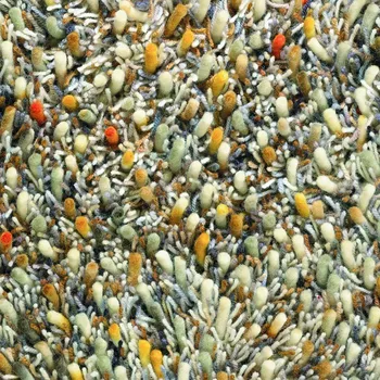 Koberec Moderní vlněný kusový koberec Spring 59103, béžový Brink & Campman Varianta: 140x200