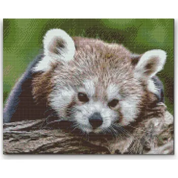 Diamantové malování Diamantové malování - Červená panda Velikost: 30x40cm, Rámování: Pouze srolované plátno, Diamanty: Kulaté