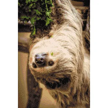 Diamantové malování Diamantové malování - Lenochod 2 Velikost: 40x60cm, Rámování: Pouze srolované plátno, Diamanty: Čtvercové