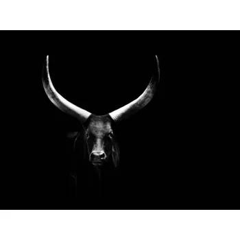 Plakát Plakát, Obraz - Watussi, Martin Rieger