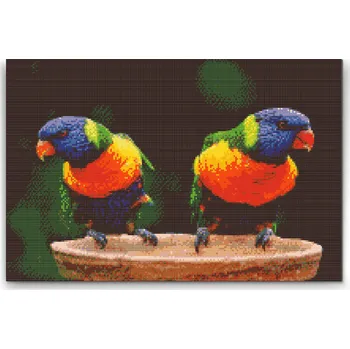 Diamantové malování Diamantové malování - Duhoví papoušci Velikost: 40x60cm, Rámování: Pouze srolované plátno, Diamanty: Čtvercové