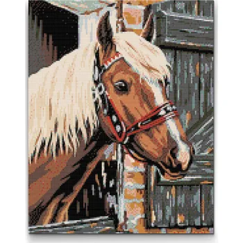 Diamantové malování Diamantové malování - Koník ve stáji Velikost: 30x40cm, Rámování: Pouze srolované plátno, Diamanty: Kulaté