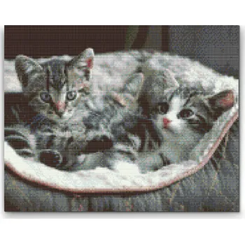 Diamantové malování Diamantové malování - Koťata v košíku Velikost: 30x40cm, Rámování: Pouze srolované plátno, Diamanty: Kulaté