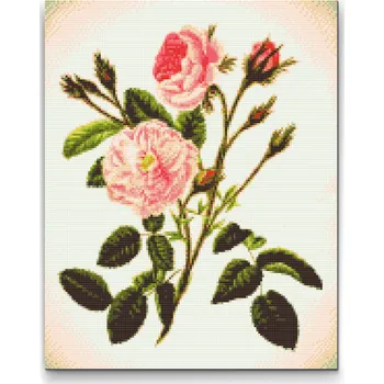 Diamantové malování Diamantové malování - Divoké růžové růže Velikost: 40x50cm, Rámování: Pouze srolované plátno, Diamanty: Čtvercové