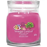 Yankee Candle Signature Art in the Park