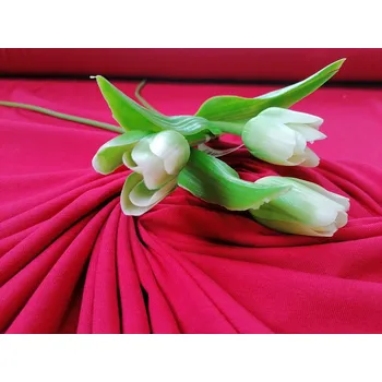 BYTEMA Bavlněný úplet TEINTURE červený šíře 150 cm