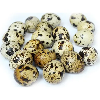 Velikonoční dekorace Křepelčí vajíčka prázdná, přírodní, 3 cm, balení 12 ks