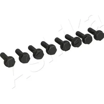 Motorový olej Šroub, setrvačník ASHIKA 54-02-200