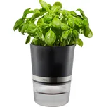 Květináč na bylinky se samozavlažováním Gefu BOTANICO černý