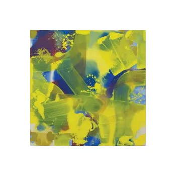 Zahraniční hudba Live At Evol... / Vinyl - Selway Philip & Elysian Collective [LP]