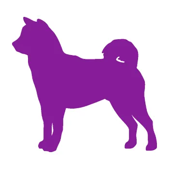 Polep vozidla SAMOLEPKA Pes 191 levá Shiba - Inu (14 - fialová) NA AUTO, NÁLEPKA, FÓLIE, POLEP, TUNING, VLASTNÍ TEXT, TISK, AUTOSAMOLEPKY.cz, POLEPY, OBRÁZEK, LOGO, SAMOLEPKY