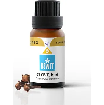 Vůně do bytu Hřebíček, pupen 15 ml