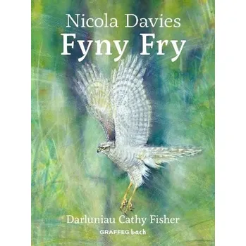 Cizojazyčná kniha Fyny Fry - Davies, Nicola