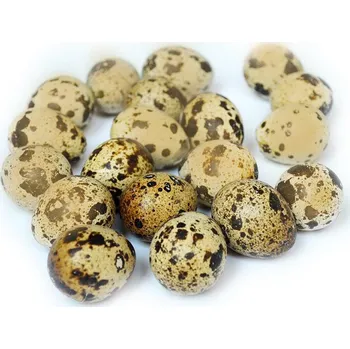 Velikonoční dekorace Křepelčí vajíčka prázdná, pozlacená, 3 cm, balení 12 ks