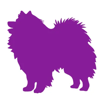 Polep vozidla SAMOLEPKA Pes 192 levá německý špic (14 - fialová) NA AUTO, NÁLEPKA, FÓLIE, POLEP, TUNING, VLASTNÍ TEXT, TISK, AUTOSAMOLEPKY.cz, POLEPY, OBRÁZEK, LOGO, SAMOLEPKY