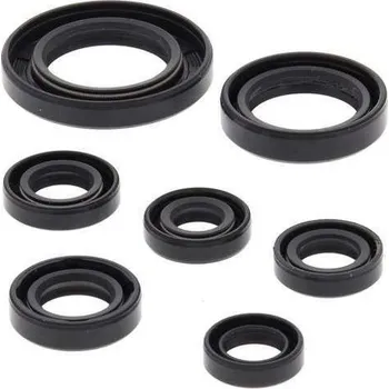 Těsnění motoru Winderosa sada gufer motoru Honda TRX250TE Recon 02-19, TRX250TM Recon 02-19, TRX250X / EX Sportrax 01-19