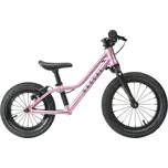 Rascal Punk, Raspberry