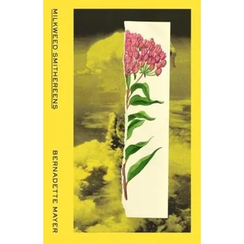 Cizojazyčná kniha Milkweed Smithereens - Mayer, Bernadette