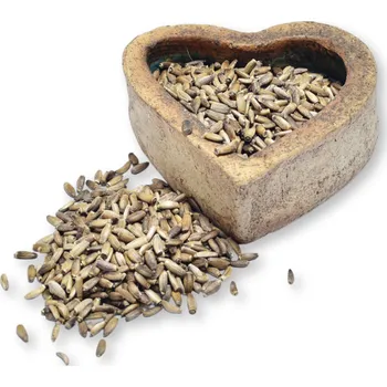 FITBOY Ostropestřec plod - celý 100g 100g