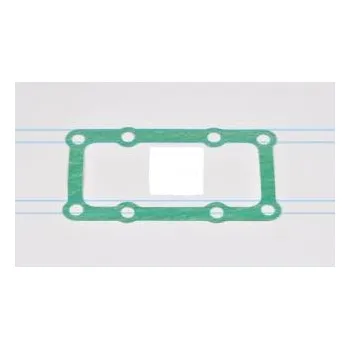 Těsnění převodovky Těsnění převodovky ZF 6S850 Man, Daf 13807