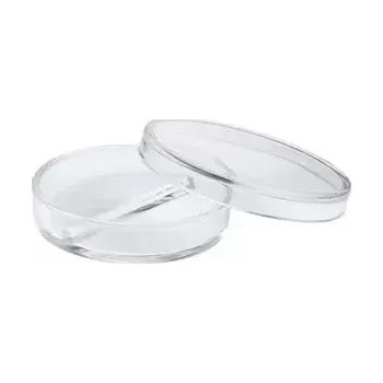 Petri miska 70x15 mm